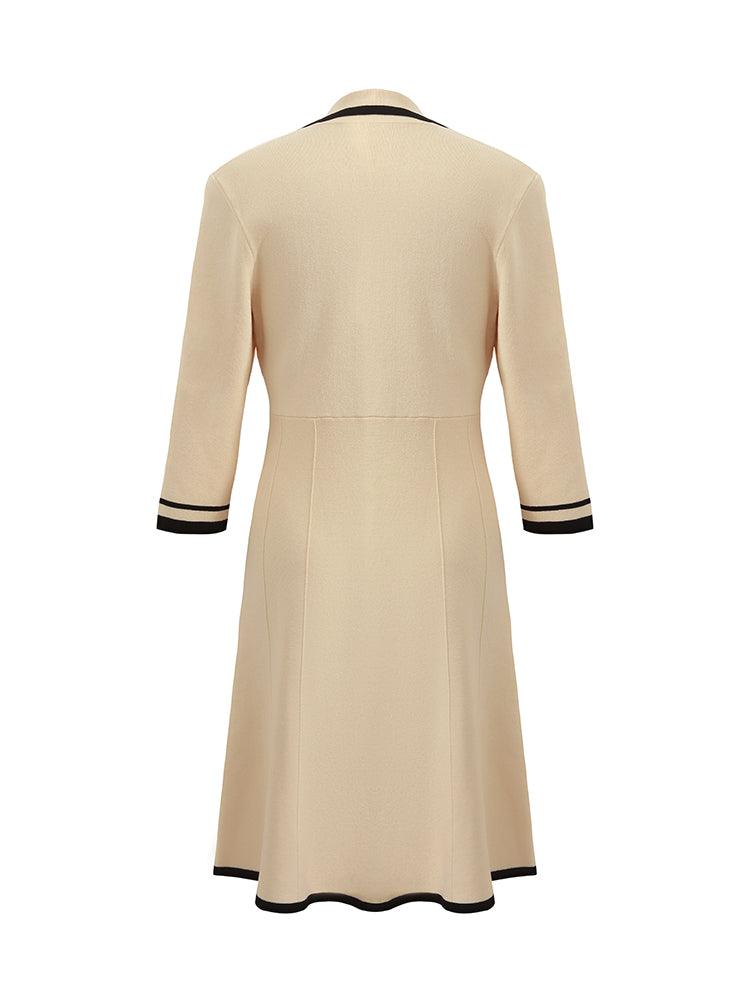 Fitted Double-Breasted V-Neck Mini Dress